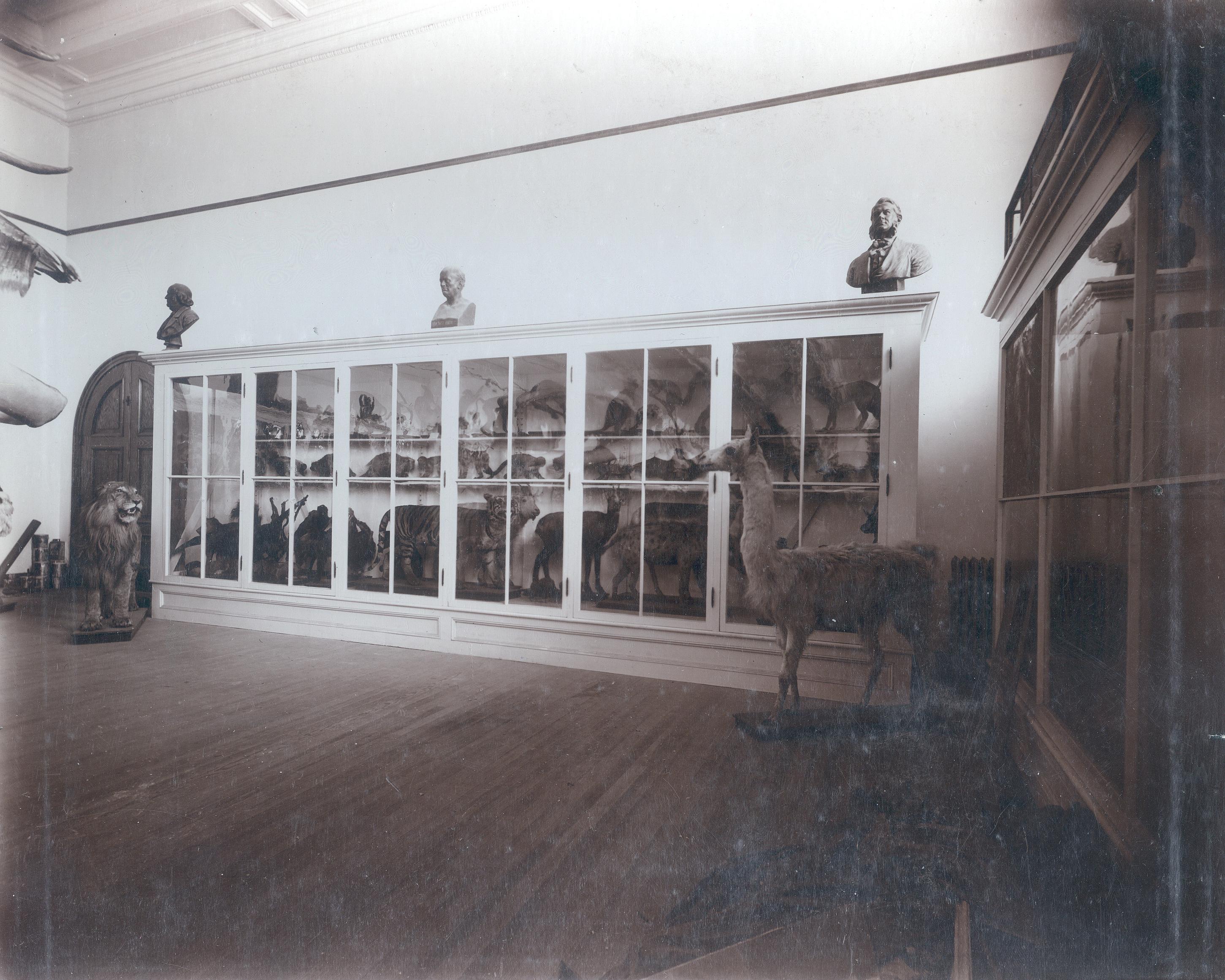 Palmer Hall Museum before 1924 <span class="cc-gallery-credit"></span>